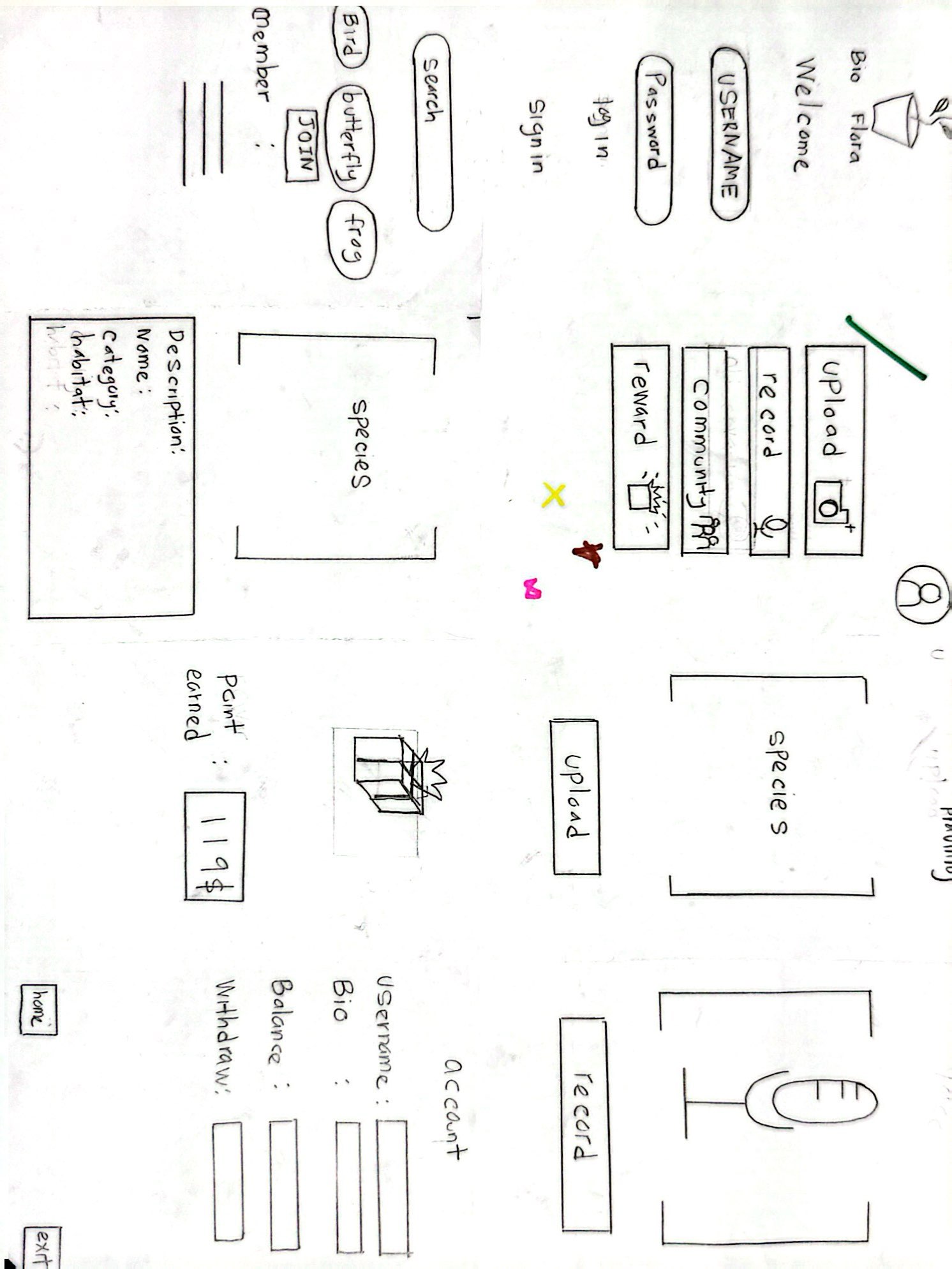 Alternative Design 4