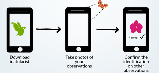 Slow Identification Process